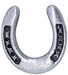 Jim Clift Design Horseshoe Lapel Pin - 1 Count