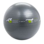 Gaiam Exercise Balls