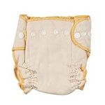 Linteum Textile Fitted Cloth Diaper