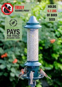 Jacobi Jayne Buster Plus Squirrel-Proof Bird Feeder, Metal, Green