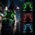 Light up Dog Harness, LED Dog Vest Harness Rechargeable, Adjustable & Reflective Dog Light Harness with Handle & 2 Lead Clips, Soft Padded Harness for Small, Medium Large Dogs(Green L)