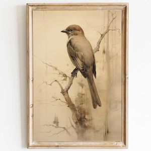 Vintage Bird Wall Art Canvas Sparrow Bird Poster Abstract Bird Picture Retro Bird Prints Farmhouse Bird Pictures Bird Paintings Canvas Wall Art Vintage Animal Bird Poster for Room 16x24inch Unframed