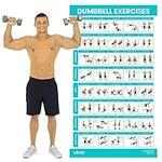 Vive Dumbbell Workout Poster - Home