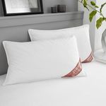 Sleep Number Pillow Sales