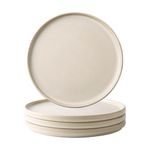 AmorArc Ceramic Dinner Salad Plates Set of 4, 8.0 Inch Reactive Matte Glaze Dish Set, Dessert,Salad, Appetizer, Small Dinner Plate,Microwave, Dishwasher Safe, Scratch Resistant, Ivory