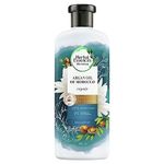 Herbal Essence Bio: Renew Argan Oil of Morocco Shampoo, 400 ml