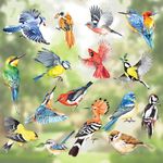 decalmile Spring Summer Birds Double Sided Window Clings Hummingbird Parrot Window Decals Anti-Collision Glass Window Doors Window Stickers - Set of 17 Birds