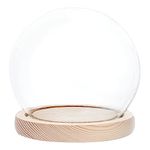 PH PandaHall Glass Display Showcase with Wheat Wood Base, Decorative Display Dome Miniature Case Snowglobe for Ornaments Fairy Lights Plants Flower Craft Crown Display Halloween Decoration, 8x10cm/3x4