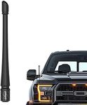 Rydonair Antenna Compatible with Ford F150 2009-2024 | 7 inches Rubber Antenna Replacement | Designed for Optimized FM/AM Reception