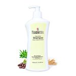 Hairvital Shampoo with Conditioner, Goodness of Aloe Vera, Jojoba Oil & Vitamin E - Deeply Nourishes Dry Hair, Promotes Growth & Reduces Damage - 500 ML (Pack of 1)