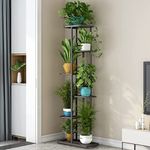 Shelf For Plants