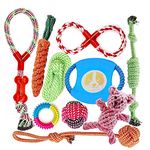 FONPOO Dog Toys Avoiding Dogs Boredom Anxiety Puppy Toys for Small&Medium Dog Rope Toy Birthday Gift Sets (Blue, Set of 10)