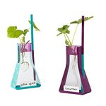 Botany Science Kits