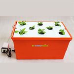 WE Hydroponics Deep Water Culture (DWC) Hydroponics System - for 8 Plants, Home Kit, Complete Accessories