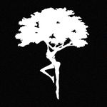 CCI Fire Dancer Dreaming Tree Dave Matthews Band Decal Vinyl Sticker|Cars Trucks Vans Walls Laptop|White|5.5 x 4.5 in|CCI2074