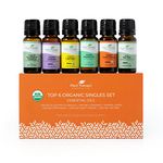 Plant Therapy Top 6 Organic Essential Oil Set - Lavender, Peppermint, Eucalyptus, Lemon, Tea Tree 100% Pure, USDA Organic, Natural Aromatherapy, Therapeutic Grade 10 mL (1/3 oz)