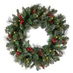 National Tree 24 Inch Crestwood Spruce Wreath with Silver Bristles, Cones, Red Berries and 50 Battery Operated Warm White LED Lights (CW7-306-24W-B1)