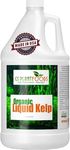 GS Plant Foods Liquid Seaweed Fertiliser, OMRI Listed & Certified Organic Plant Food, Concentrate Liquid Seaweed for Gardens, Lawns & Soil Yields