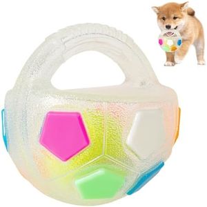 Dog Toy Ball with Handle, Toss and Fetch Play, Interactive Ball for Dogs Playing, Squeaky Floating(Transparent with Ball)