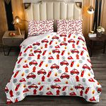 Feelyou Kids Fire Truck Toddler Bedding Set Red Fire Fighting Truck Comforter Set Boys Fireman Car Vehicles Comforter Cartoon Fire Engine Ladder Helmet Quilt Set Bedroom Collection 2Pcs Twin Size