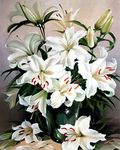 WOWDECOR Paint by Numbers Kits for Adults Kids, Number Painting - White Lily Flowers 16x20 inch (Frameless)