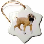 3dRose Great Dane Puppy Turning - Snowflake Ornament, Porcelain, 3-Inch (ORN_220913_1)