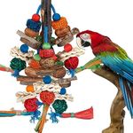 Bird Toys,