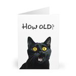 Cat Birthday Card - 'How Old?' Surprise Question with Black Cat, Humorous & Whimsical Greeting for All Ages, Perfect for Cat Lovers, Unique Celebration Card for Friends & Family