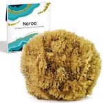 Naroa Exfoliating Natural Sponge for Bathing | Bath Sea Sponge for Healthy Skin | Unbleached Shower Body Scrubber Puff | Eco Friendly Plastic Free Sponge (Exfoliate - Large)