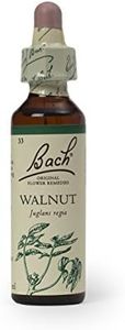 Bach Origi