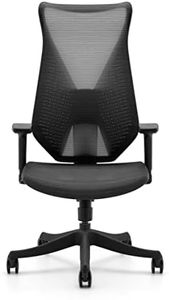 Shappa H350 Ergonomic Office Chair High-end Highly Adjustable Armrest Headrest Lumber (Black)