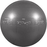 GoFit ProBall Stability Ball – Prin