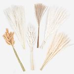 Der Rose Pampas Grass Decor Bouquet 17 Inches Dried Flowers for Room Home Office Boho Fall Decor