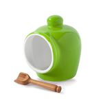 Wm Bartleet & Sons Traditional Porcelain Small Salt Pig with Wooden Salt Serving Spoon - Green