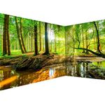 artgeist Wall Mural Forest Landscape 212x98 in - XXL Peel and Stick Self-Adhesive Corner Wallpaper Removable Large Sticker Foil Angle Wallpaper Wall Decor Print Green Sun Nature Tree c-B-10040-a-a