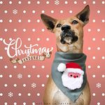 That Dog In Tuxedo Santa Claus Christmas Dog Bandana/Dog Scarf with Adjustable Dog Collar (Size - M/L)