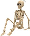 e Crafty 16" Halloween Skeleton,Full Body Skeleton with Posable Movable Joints for Haunted House Props Decorations