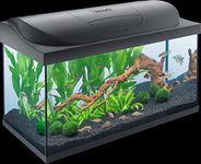 Tetra Starter Line LED 105L Aquarium