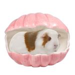 Small Animal Hideout Extra Large Ceramic Shell Shape Guinea Pig House Chinchilla Igloo Habitat Hut Cave Summer Bed Cage Accessories for Hedgehog Rabbit Hamster Gerbil Rat (XL (9.5''x7''x7.9''), Pink)