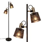 Newrays 2-Way Industrial Retro Iron Metal Mesh Floor Lamps with Adjustable Switch Plug-In for Living Room Bedroom Office