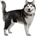 Dog Knee Leg Hip Brace for Dog ACL,