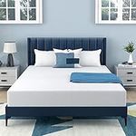 MLILY Twin Mattress 8 Inch Memory Foam Mattress, Green Tea Queen Size Mattress in A Box, Medium Firm Mattress Twin for Pressure Relieving, CertiPUR-US Certified