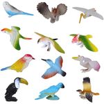 Mallexo Realistic PVC Bird Figures Toys | 3D Model Sparrow Animal Farm Figure Play Set | Miniature Bird Toys for Kids Cake Topper Party Favours | Birthday Return Gift Animals Set - Multicolor