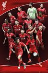 Liverpool Players 2018 2019 Soccer Football Sports Poster 24x36 inch