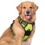 rabbitgoo Dog Harness No Pull with 2 Leash Clips, Adjustable Soft Padded, Reflective Oxford No Choke Pet Vest with Easy Control Handle for Large Dogs, Green, XL
