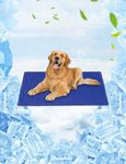 Vamcheer Cooling Mat for Dogs - Durable Pet Cool Mat for Dogs and Cats, Non-Toxic Gel Self Cooling Pad Bed, Keep Puppy Cool in Hot Summer, Double-Sided Use for Kennel Crate Home Travel, Blue, 60x90cm