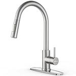 APPASO Kitchen Faucet with Pull Dow