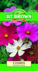 DT Brown Cosmos Sensation Mixed Seeds