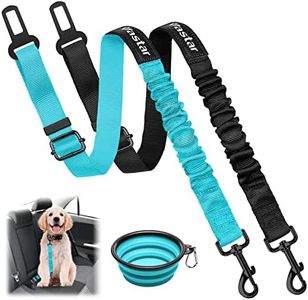 Vastar Dog