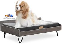 TailZzz Wooden Dog Bed and Dog Couch with Water-Resistant and Calming Mattress, Small to Medium Elevated Pet Bed, Greenguard Gold Certified, Dog Beds & Furniture, Chase